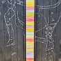 Coloured lines 29  2022, 100x10 (+R), Acryl-Lack auf LW, € 420 SOLD